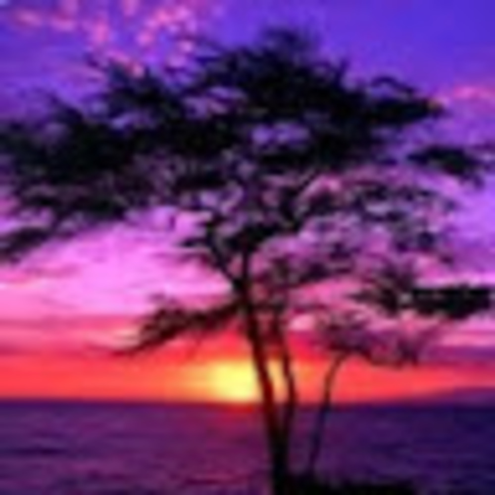 Meet your Posher, Marie